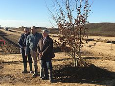 Plantation du premier arbre de la ZAC du Tertre de Montereau - Agrandir l'image (fenêtre modale)