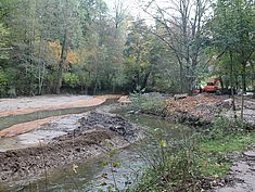 Travaux de restauration à Pringy - Agrandir l'image (fenêtre modale)