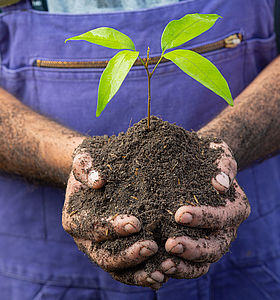 Agriculture biologique, visuel non contractuel