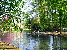 Parc du Château Soubiran, Dammarie-les-Lys - Agrandir l'image (fenêtre modale)