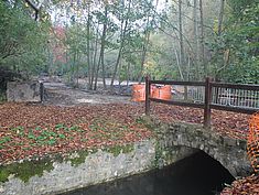 Travaux de restauration à Pringy - Agrandir l'image (fenêtre modale)