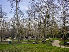 Parc du Château Soubiran, Dammarie-les-Lys - Agrandir l'image (fenêtre modale)