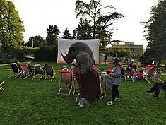 Ciné plein air - Livry-sur-Seine - Agrandir l'image (fenêtre modale)