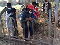 Sortie des adolescents du PRE au Parc du Château Soubiran de Dammarie-lès-Lys Vacances du PRE. - Agrandir l'image (fenêtre modale)