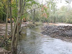 Travaux de restauration à Pringy - Agrandir l'image (fenêtre modale)