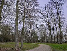 Parc Chapu, Le Mée-sur-Seine - Agrandir l'image (fenêtre modale)