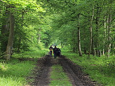 Agrandir l'image (fenêtre modale)