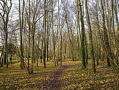 Parc des Bordes, Saint-Fargeau-Ponthierry - Agrandir l'image (fenêtre modale)