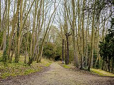 Parc Faucigny-Lucinge, Melun - Agrandir l'image (fenêtre modale)