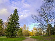 Parc de Spelthorne, Melun - Agrandir l'image (fenêtre modale)